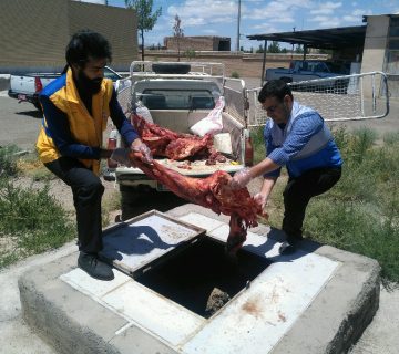 عملکرد اداره دامپزشکی ری در حوزه نظارت بر بهداشت عمومی و مواد غذایی طی سال جاری